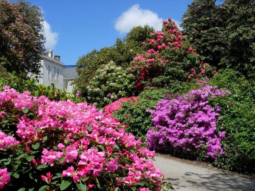 Glasney Rooms, University Campus Penryn 팰머스 외부 사진